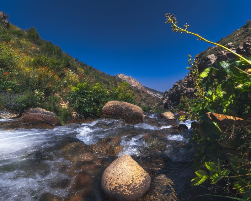 Explore the Gila Box Riparian National Conservation Area